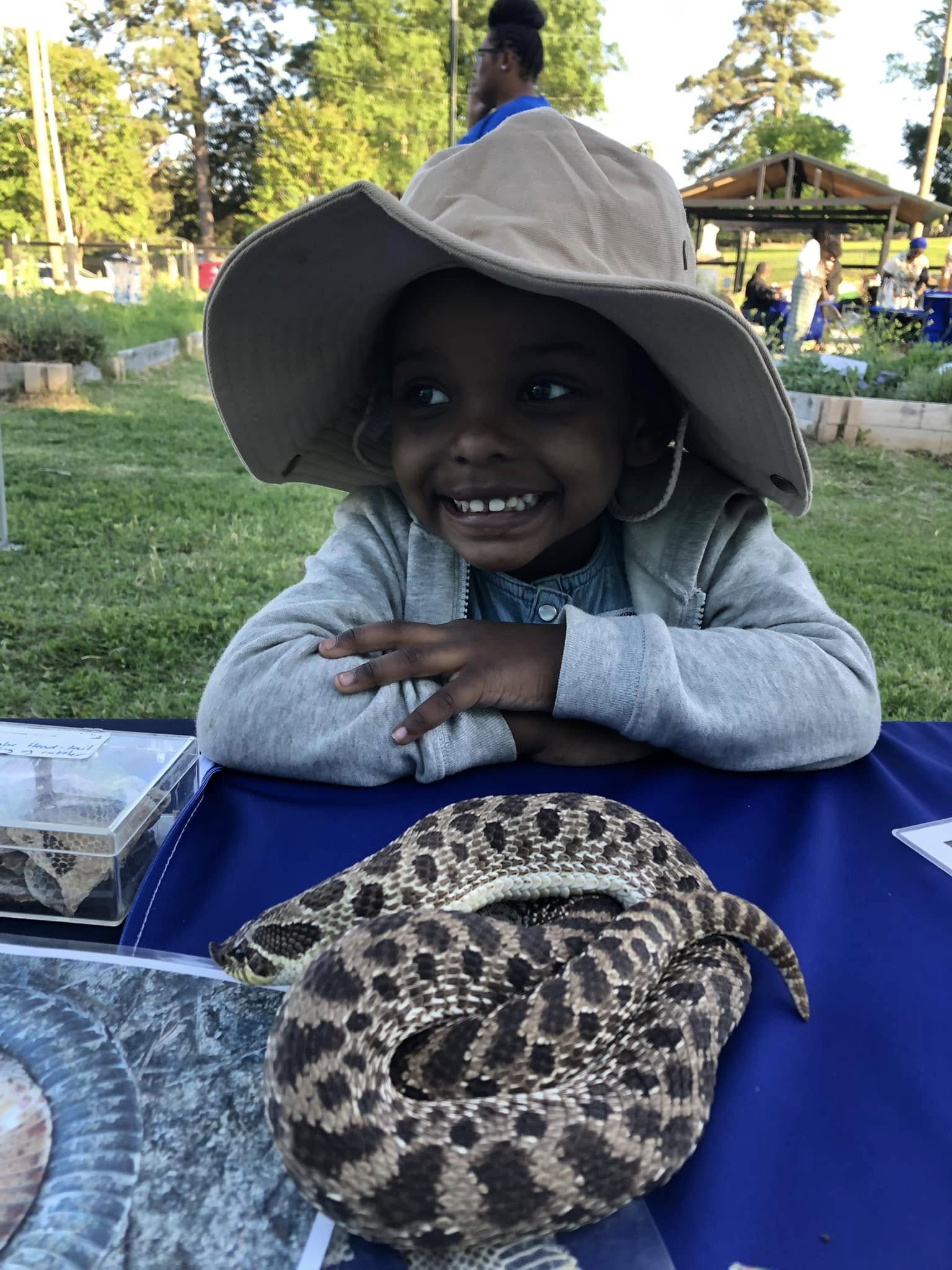 Featured image for “2 Tiny Snake-Wrangler”