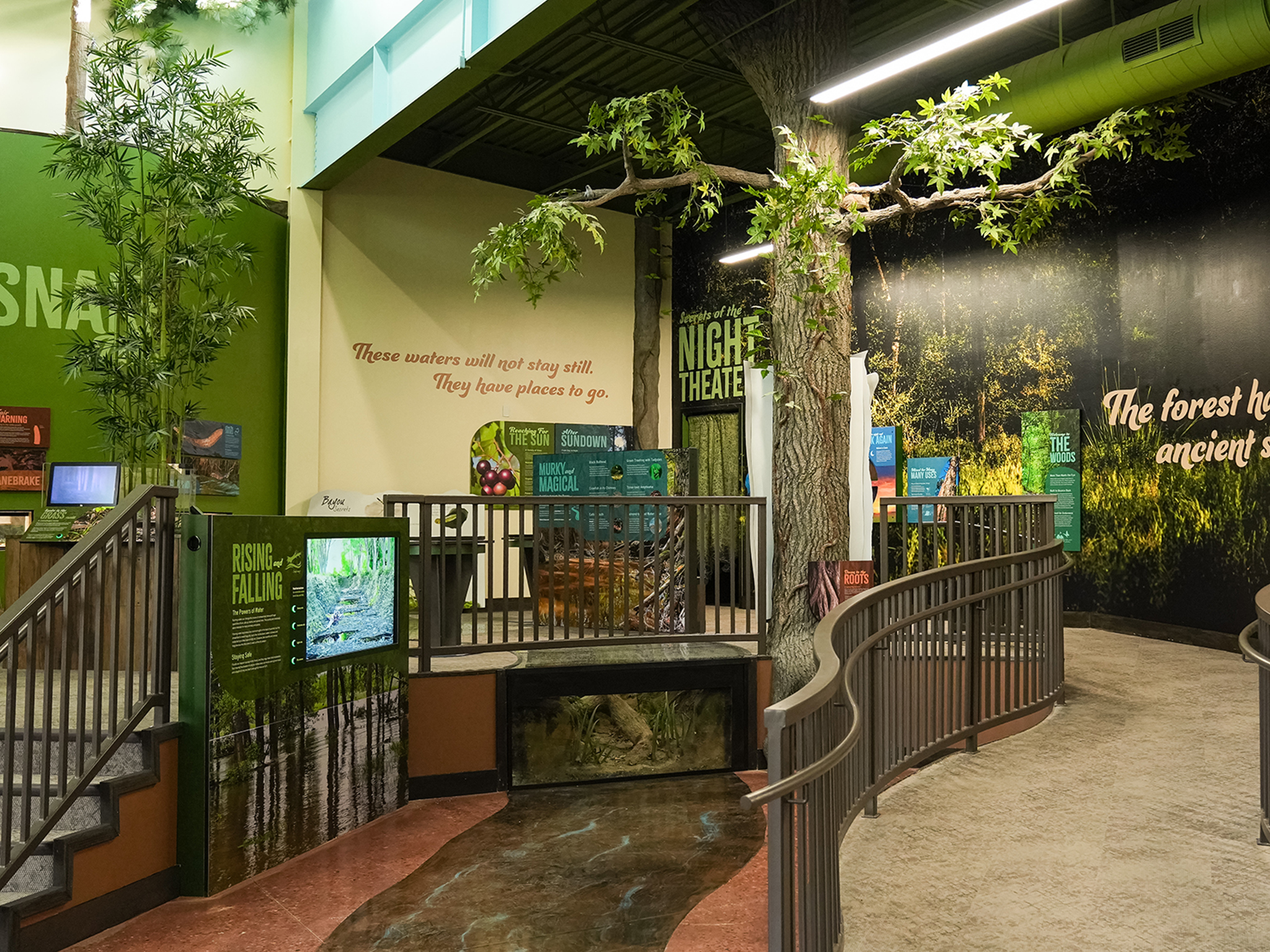 Inside Nature Center